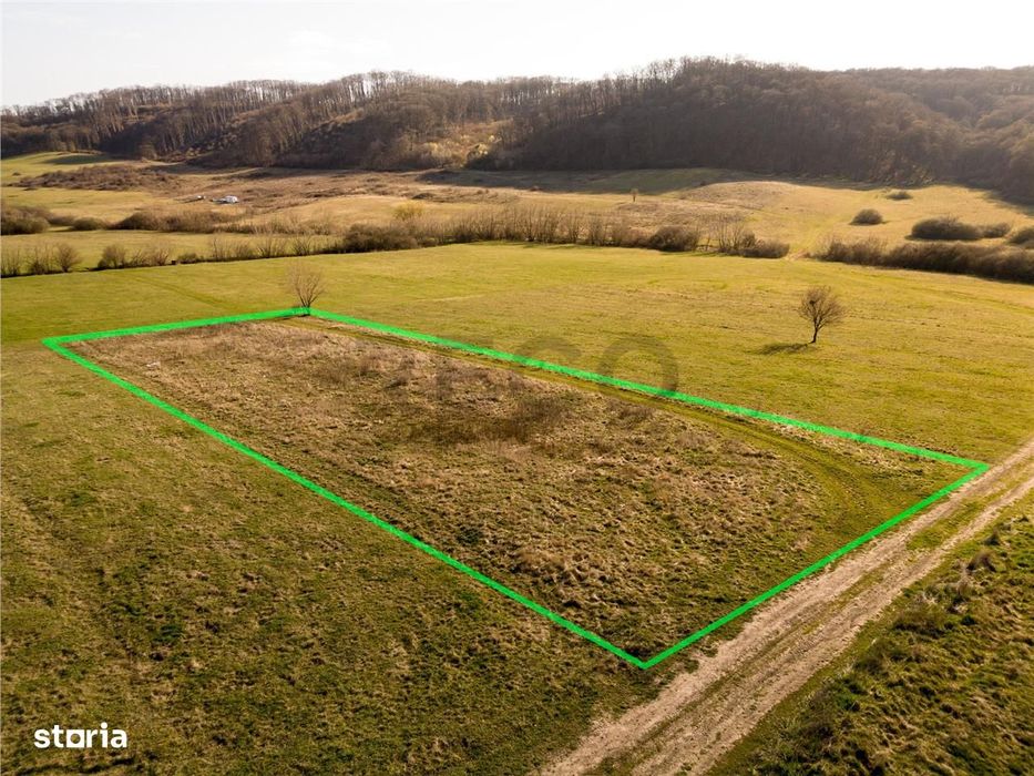 RECO teren intravilan in Betfia