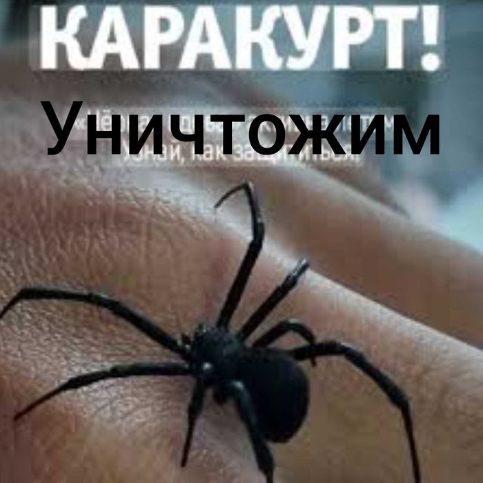 Избавим от насекомых