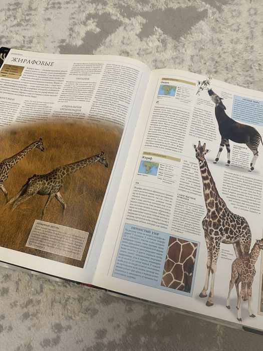 Книга о животных с иллюстрациями