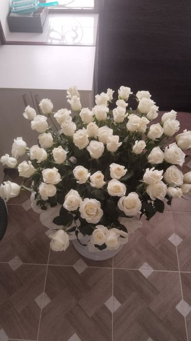 Цветы Белые Розы