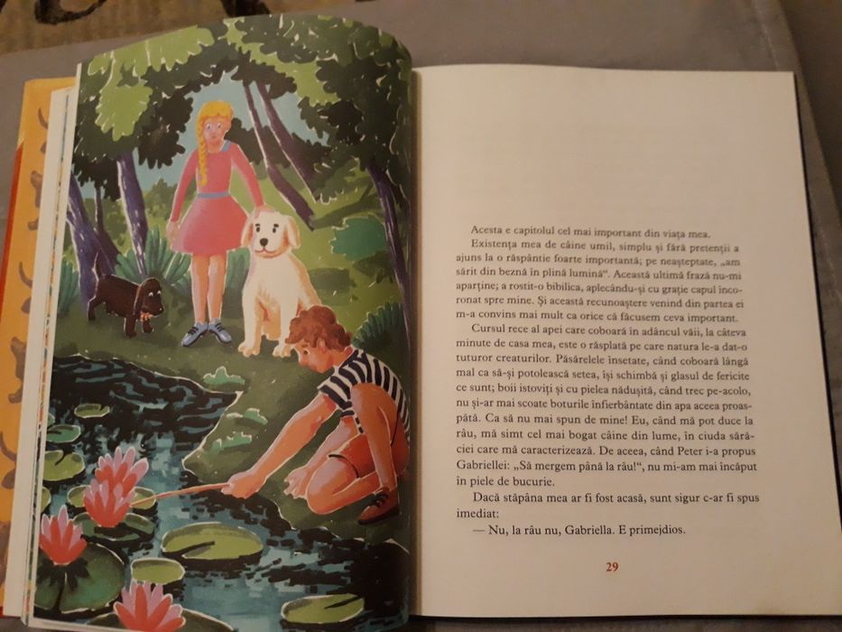 Catei bogati, catei saraci, Lydia Ugolini, editura Arthur, noua.