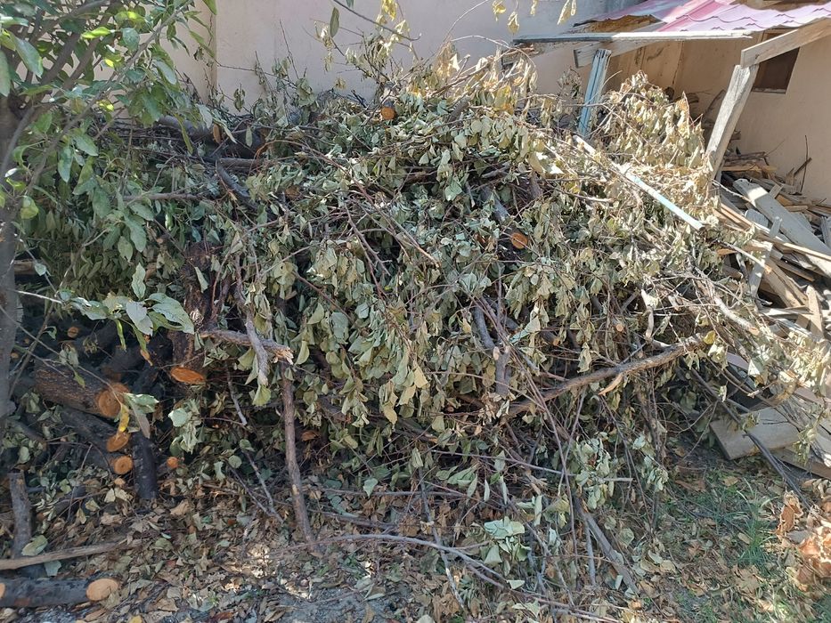 Продается дрова из фруктовых деревьев