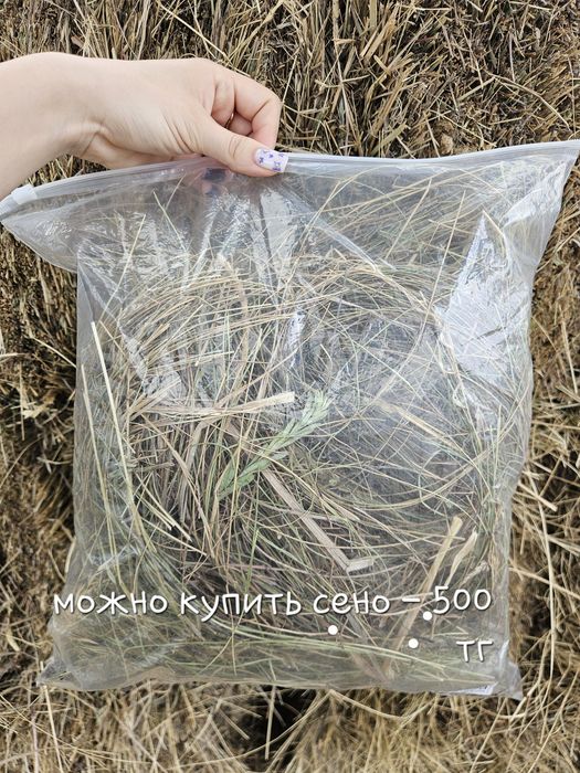 Корм "микс" для морских свинок