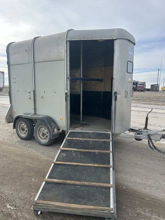 Коневозка букман