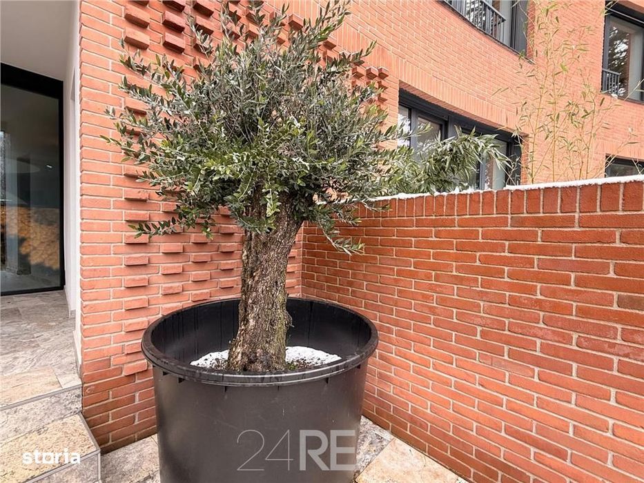 Apartament 4 camere, superb Pipera, cladire exclusivista, 250mp curte