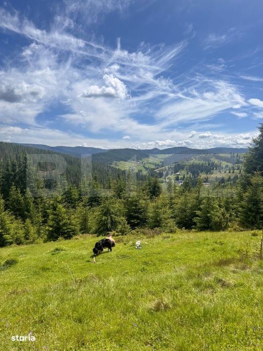 Teren partial intravilan ,9700 mp Oportunitate ,Belis