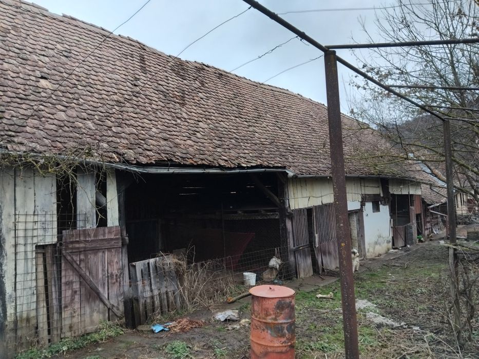 Sura din lemn masiv aprox 150mp