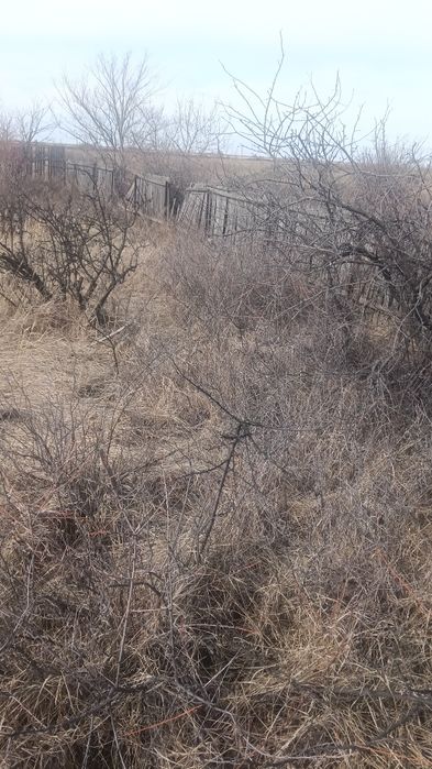 Продам дачу 10 соток Конай