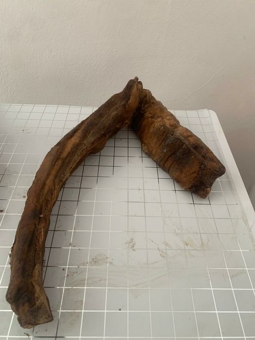 Копченнае мясо и казы