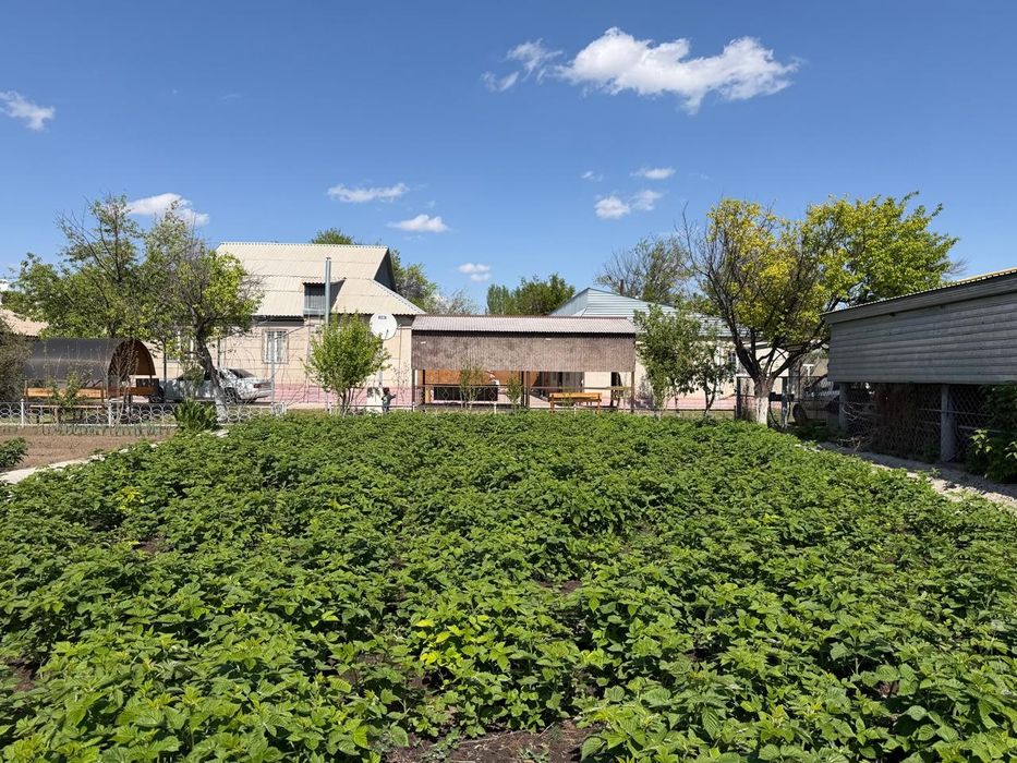 Продам дом 18 соток