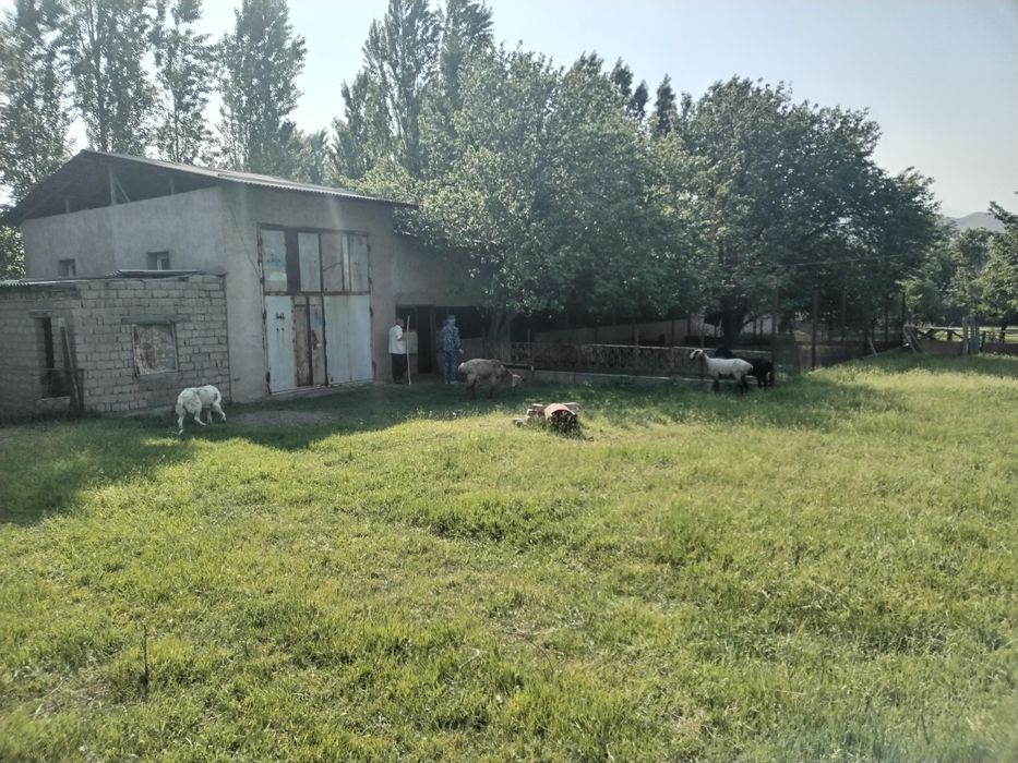 Продаётся участок в Ангрене 60соток