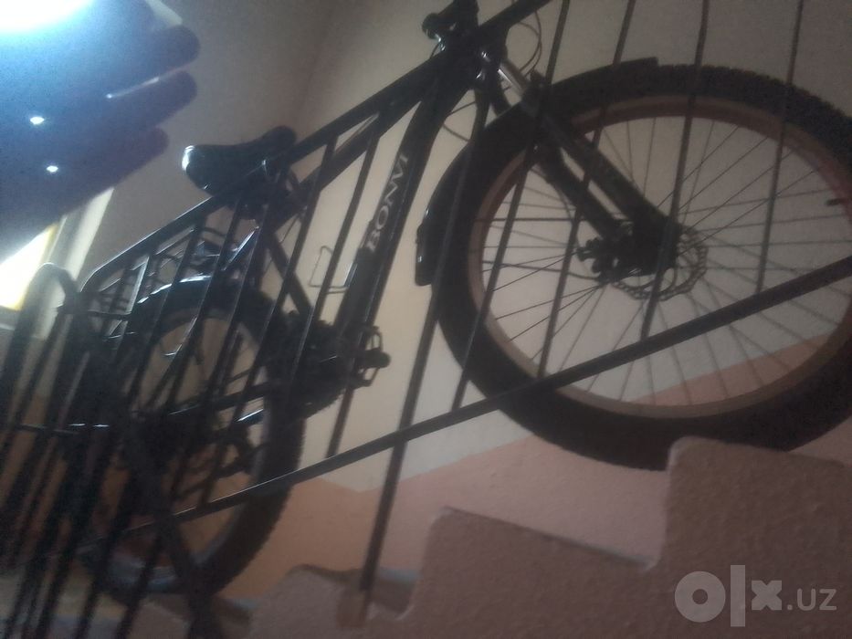 Velosifed skorisli, kotta balonli 28