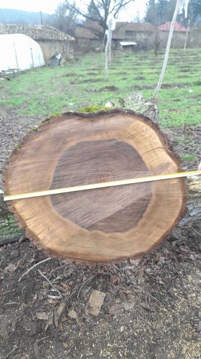 Орехови трупи - ствол и клони