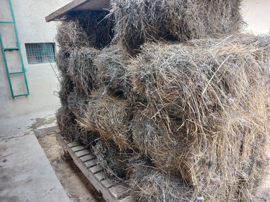 Жусан шоп сатылады