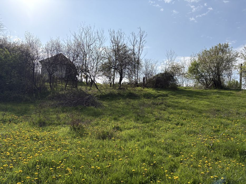 TEREN + CASĂ + LIVADĂ | 5200 mp ideal investietie sau locuinta