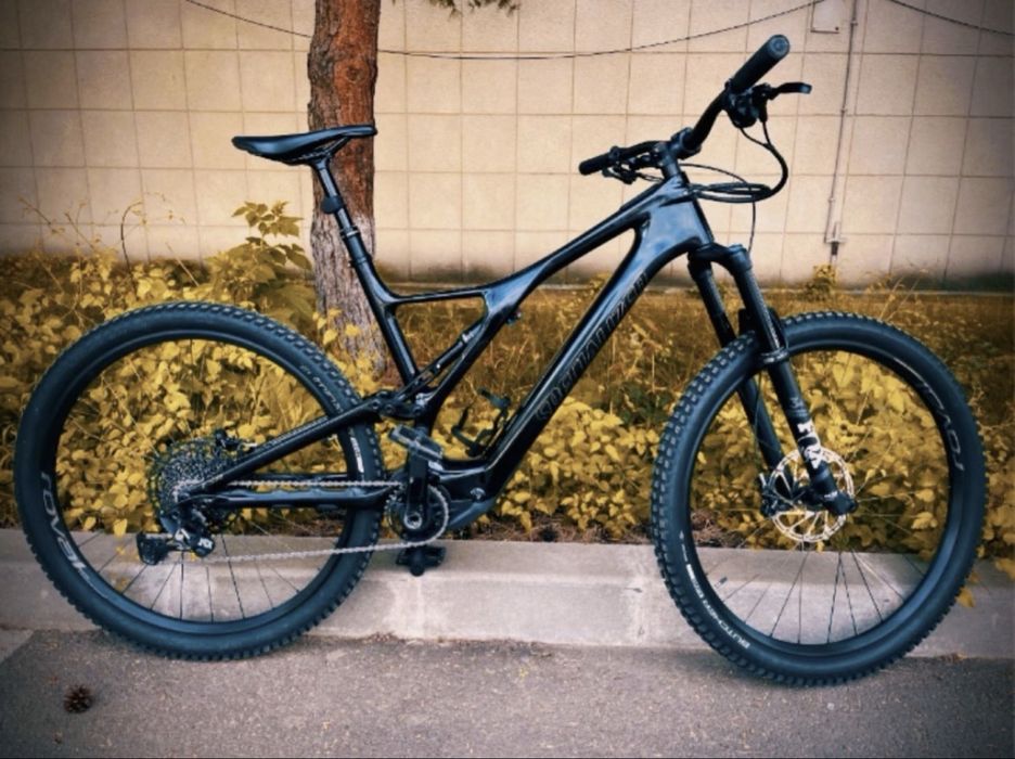 Specialized turbo levo SL carbon.