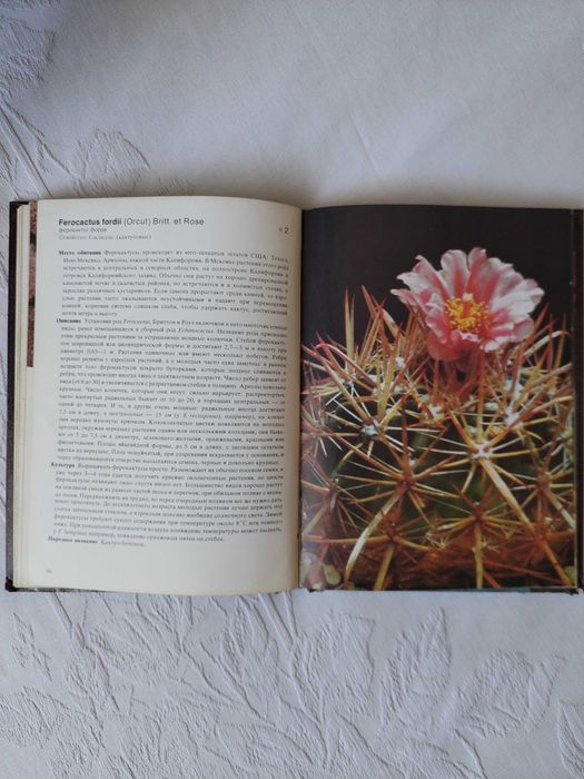 Книга-справочник Кактусы