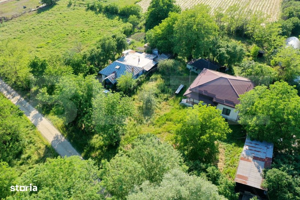 Teren EV si IV cu casa, 29.600 mp, utilitati si acces facil, Albesti