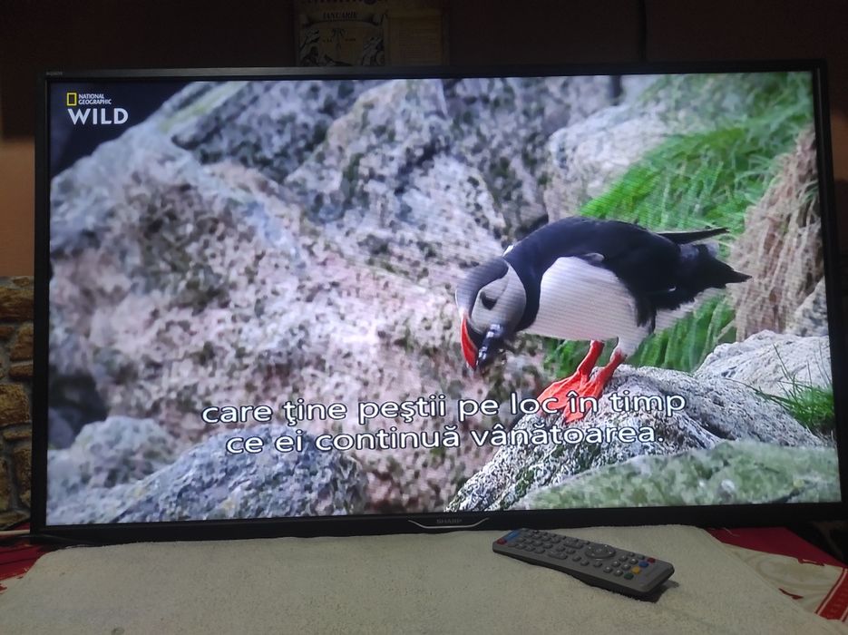 Smart tv Sharp 102 cm