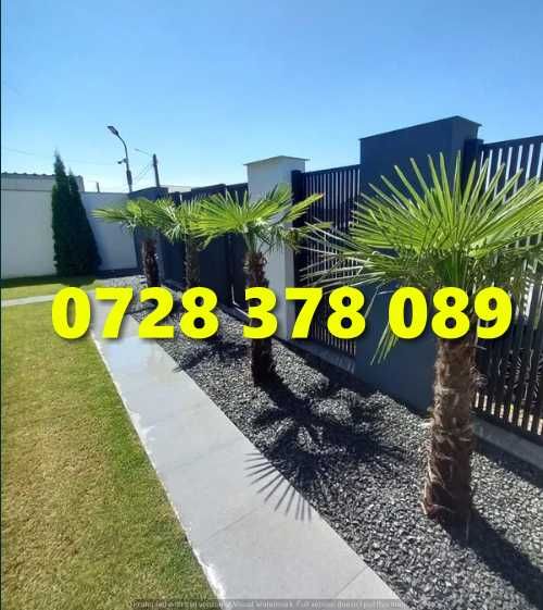 Gazon / Insamantare / Rulouri de Gazon