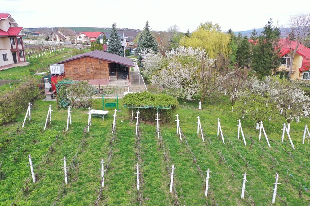TEREN INTRAVILAN 3475mp + CASA 2003 - VASLUI - zona Moara Grecilor