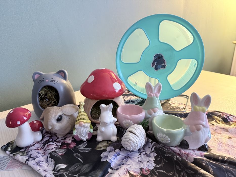 Accesorii hamster