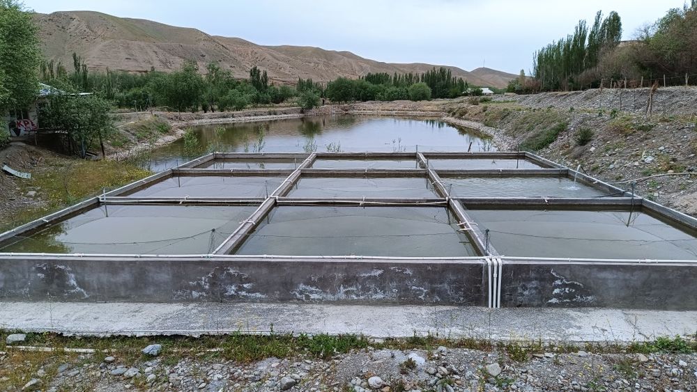 Zomin Sihatgohiga ketish yo'lida joylashgan uchastka Sotiladi