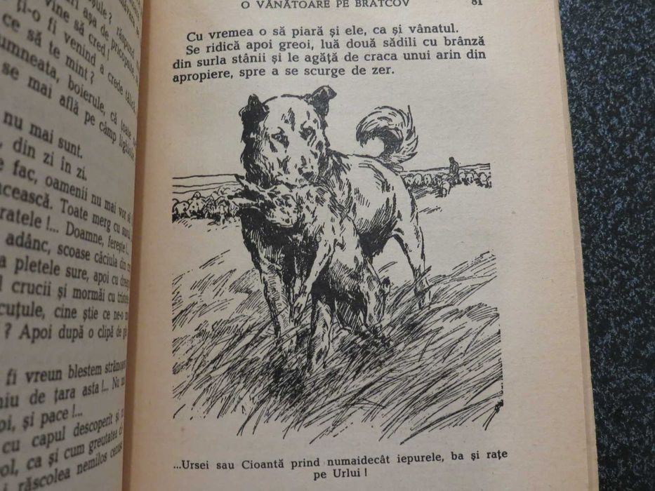 Vedenii din moara parasita  George Scriosteanu  1941