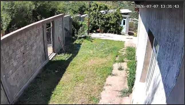 Продам дачу в пригороде Газалкента (поселок Карамазар, цена за 1 сот.)