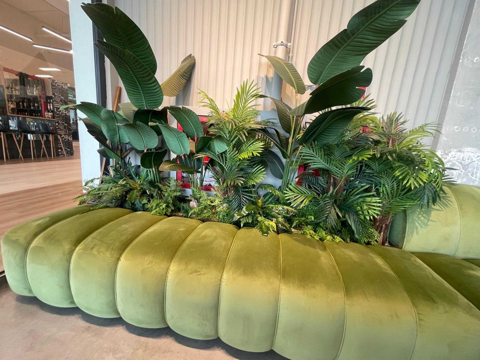 Canapea Tapițată din Catifea Verde 431 x 85