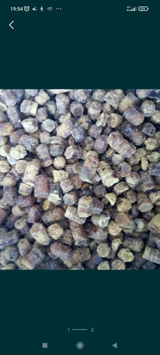 Прополис пчелинный