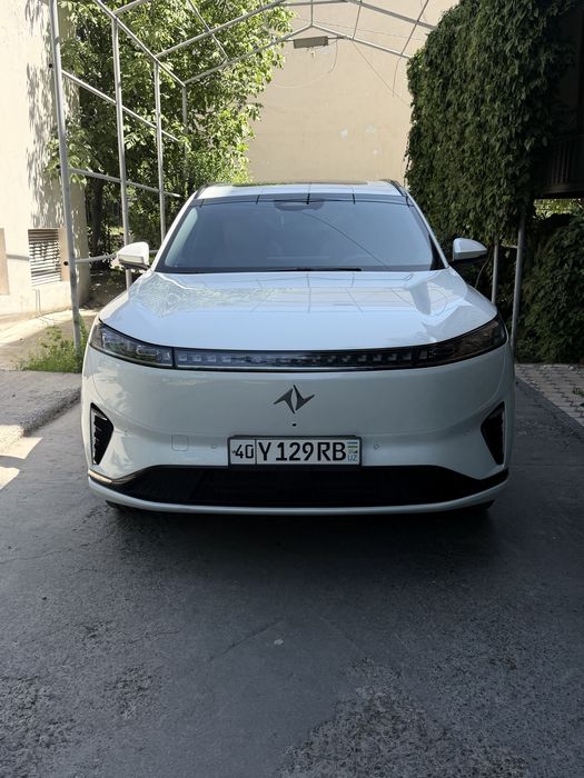 Dongfeng Box 2024