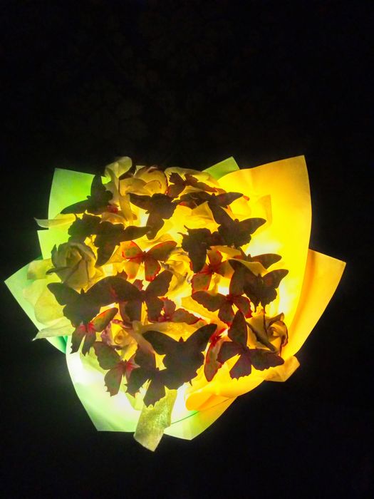 Букеты с бабочками