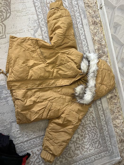 Отдам бесплатно осень весна