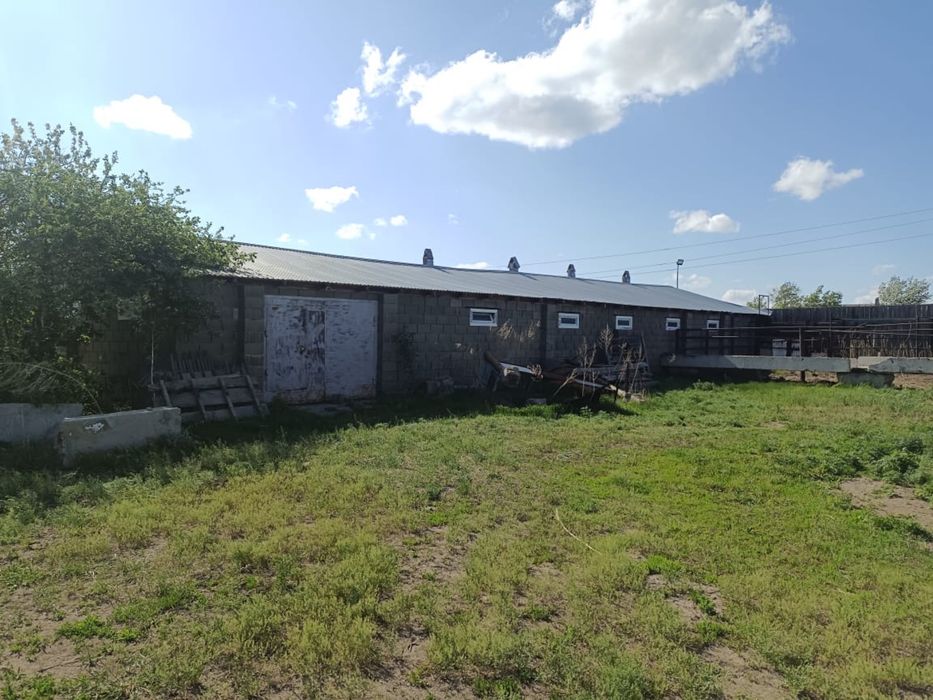 Продам дом в селе Айнаколь (Потанина)