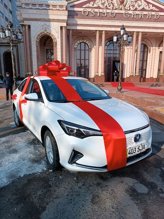 Bantik, bant lenta, автобантик шарики