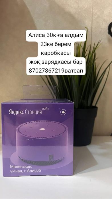 Алиса продается срочно