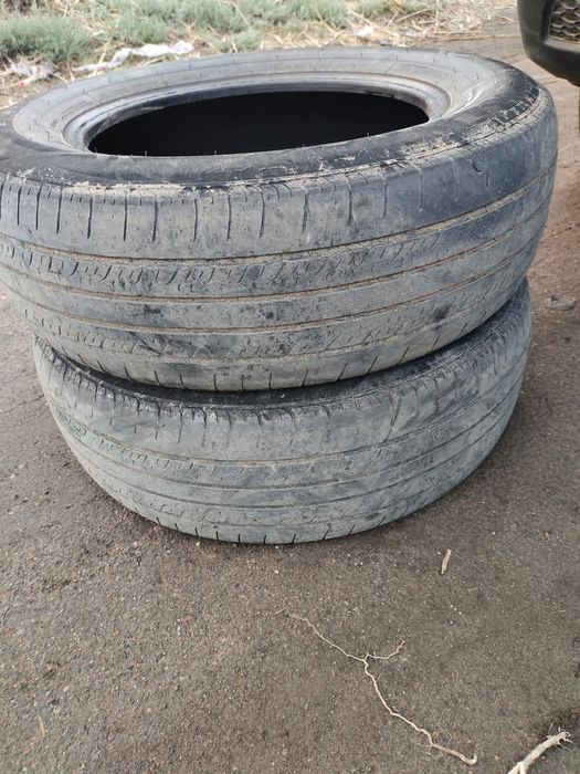 продам шины пара