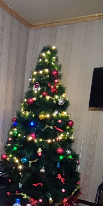 Арча сотилади Ёлка продается