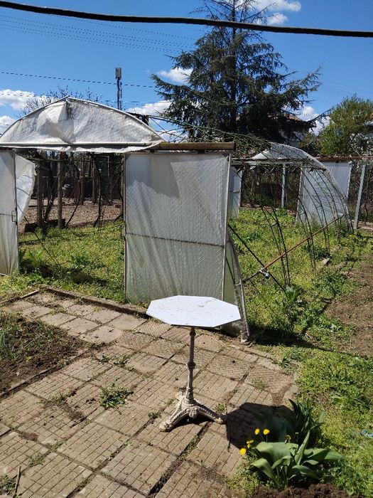 Оранжерия  стабилна