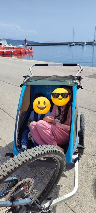 Carucior Thule Coaster XT cu prindere ptr MTB si ptr eBike