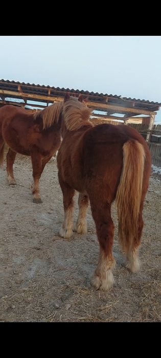 Продам  Советского тяжеловозова