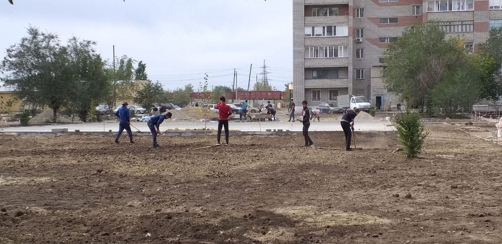 Газон және Автополив жасаймыз