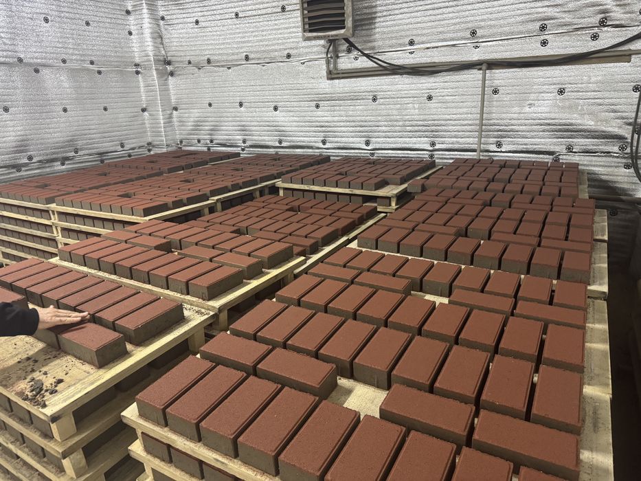 Бурсчатка и бордюр