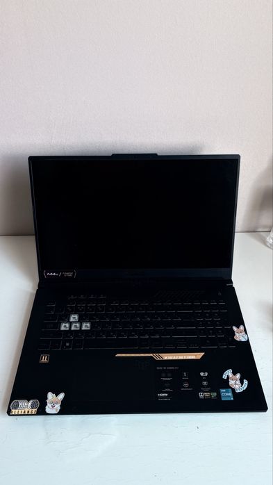 Asus Tuf Gaming F17