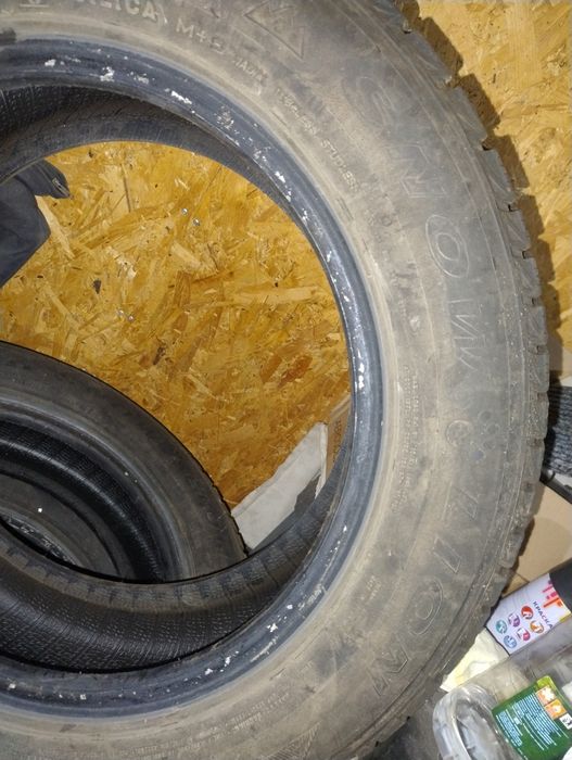 Шина липучка всесезонная