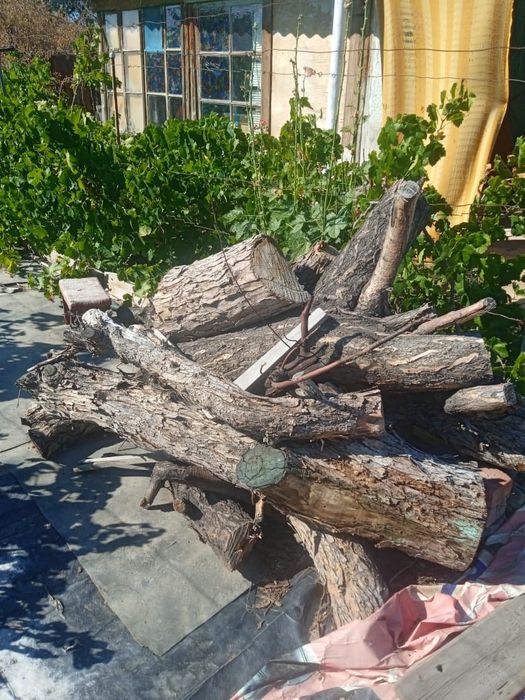 Продаются дрова плодовых деревьев