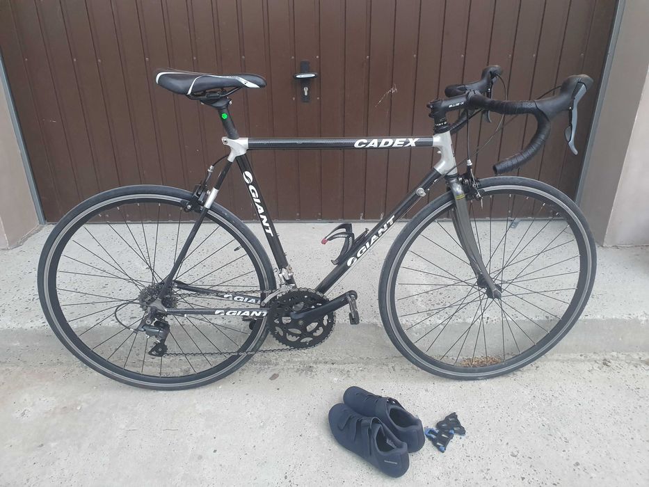 Cursiera carbon 55cm giant cadex