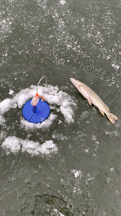 Аренда принадлежностей для рыбалки