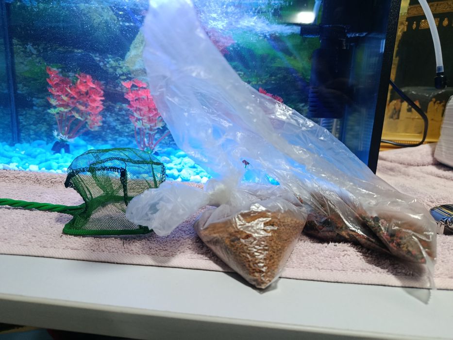 Akvarium sotiladi full komplekt